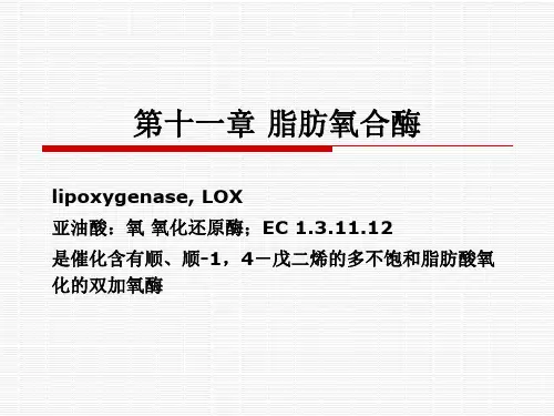 10.食品酶学-脂肪氧合酶