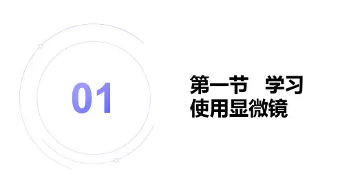 1.2.1学习使用显微镜 (二)课件人教版生物七年级上册