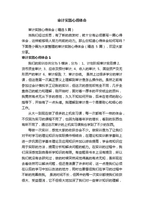 审计实践心得体会（精选5篇）