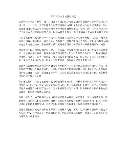 子公司综合考核管理制度