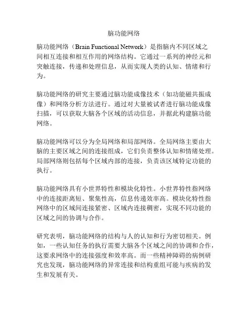脑功能网络