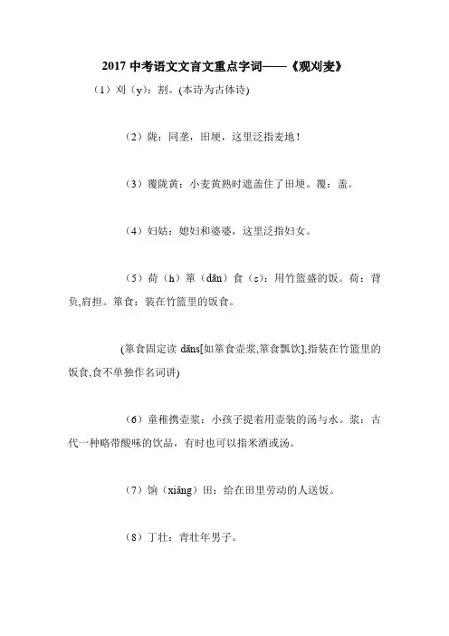 2017中考语文文言文重点字词——《观刈麦》