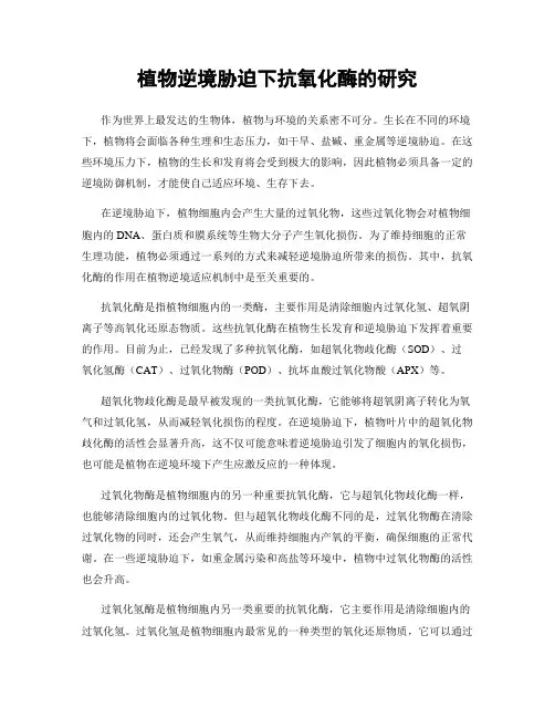 植物逆境胁迫下抗氧化酶的研究