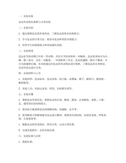昆虫主题实验报告范文