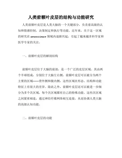 人类前额叶皮层的结构与功能研究