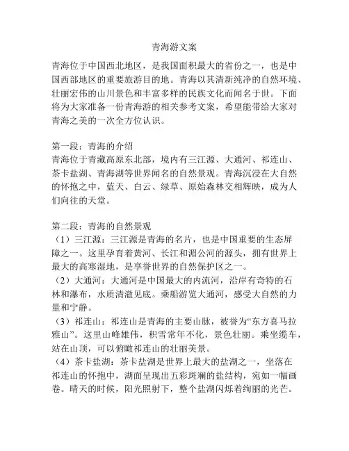 青海游文案