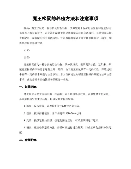 魔王松鼠的养殖方法和注意事项