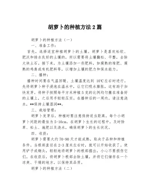 胡萝卜的种植方法2篇