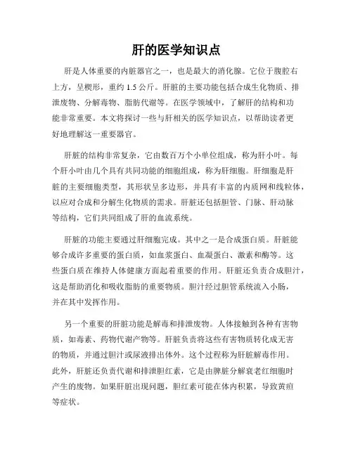 肝的医学知识点