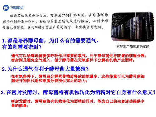 人教版生物必修1第5章第3节 细胞呼吸的原理和应用60PPT