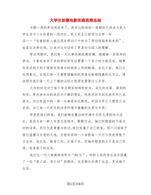大学生拍微电影实践思想总结(3篇)