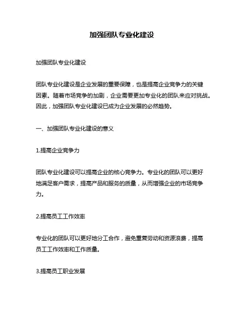 加强团队专业化建设