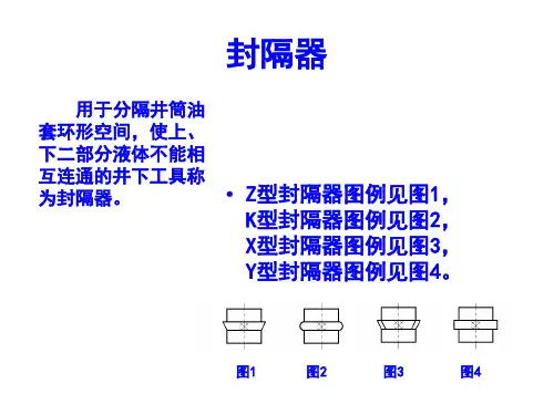 油气水井井下工艺管柱工具图例