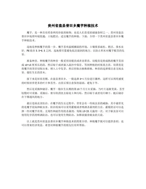 贵州省盘县普田乡魔芋种植技术