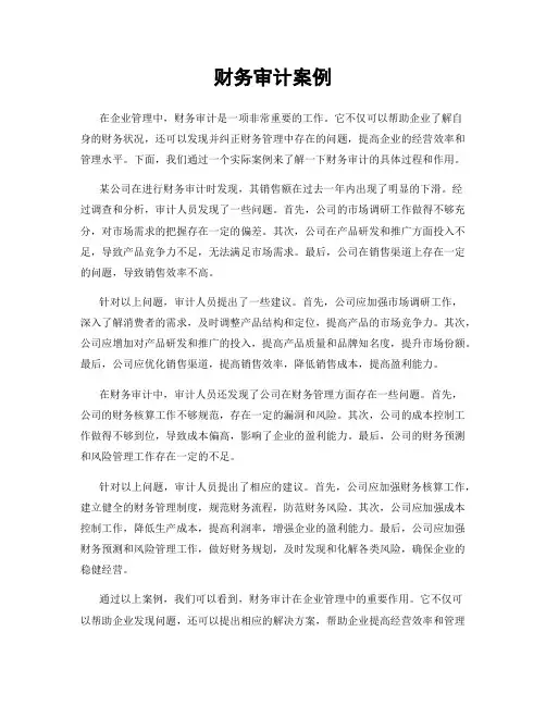财务审计案例