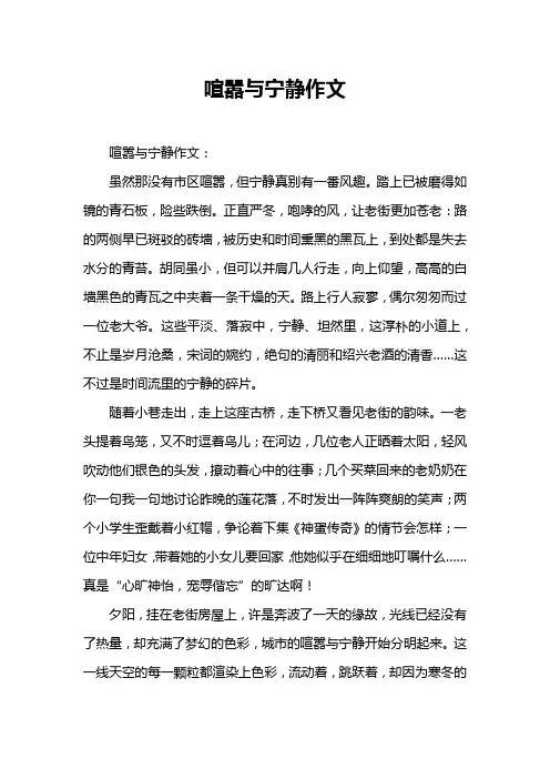 喧嚣与宁静作文