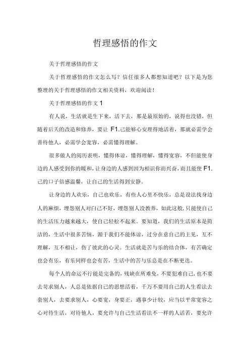 哲理感悟的作文.docx