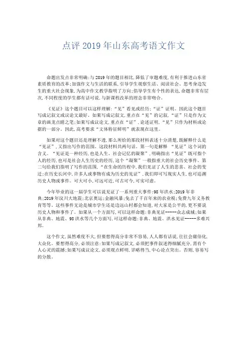 语文计划总结-点评2019年山东高考语文作文 精品