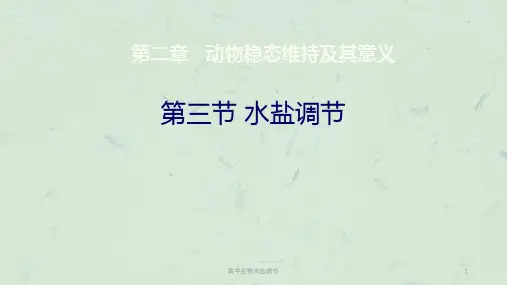 高中生物水盐调节课件