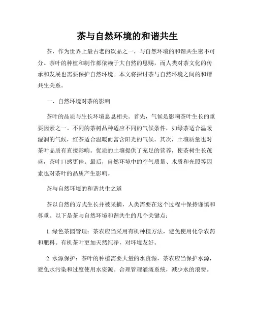 茶与自然环境的和谐共生