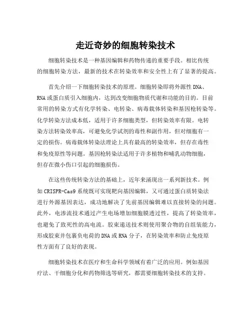 细胞转染技术