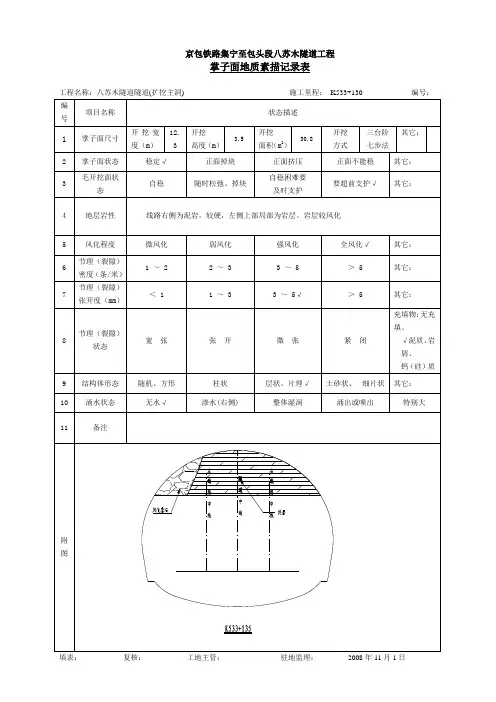 超前地质预报