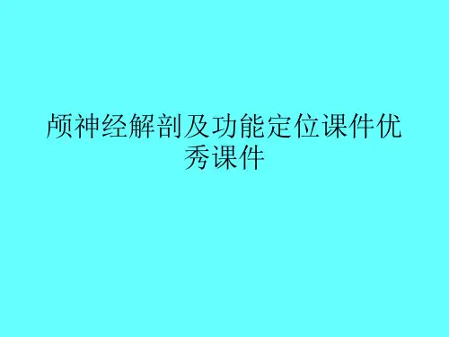 颅神经解剖及功能定位课件优秀课件