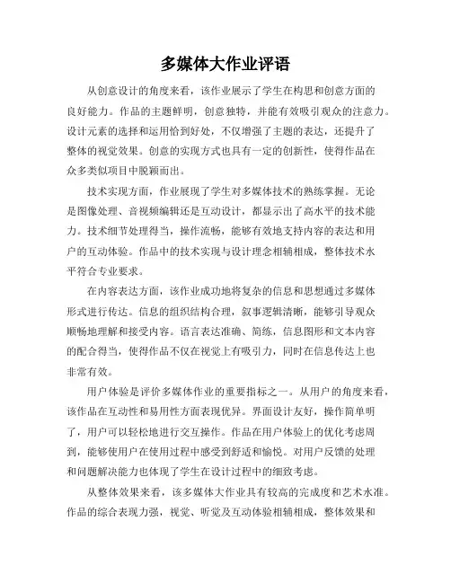 多媒体大作业评语