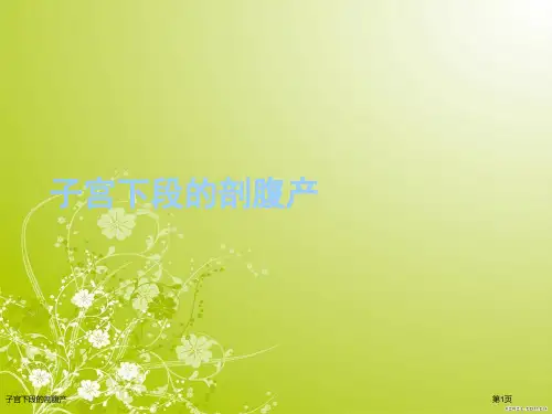 子宫下段的剖腹产