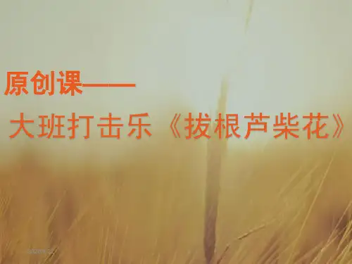 大班打击乐《拔根芦柴花》