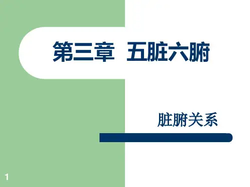 人体五脏六腑ppt课件