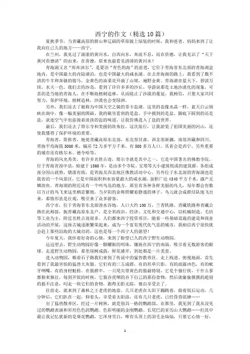 最新西宁的作文