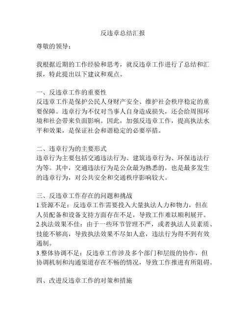 反违章总结汇报