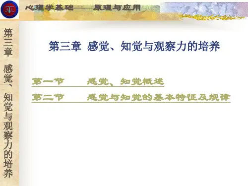 3第三章感知觉与观察力的培养