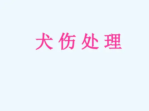 犬伤处理(56页)教学课件