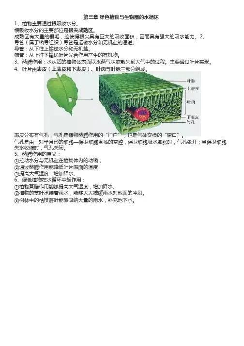人教版生物七年级上册第三章《绿色植物与生物圈的水循环》知识点