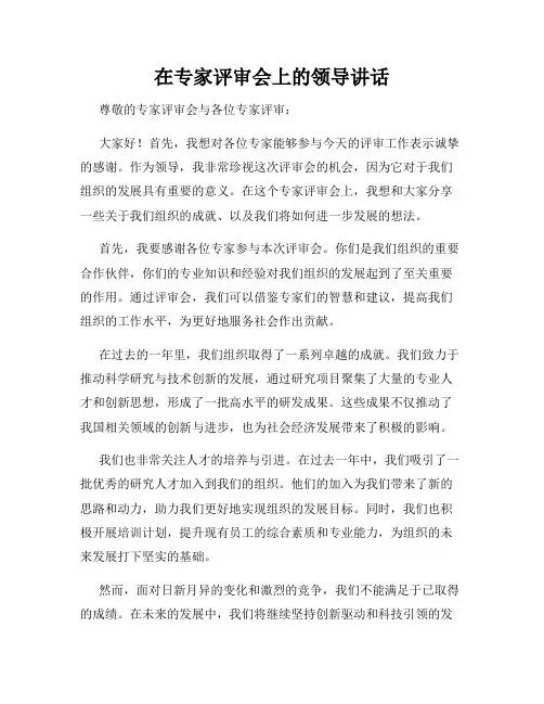 在专家评审会上的领导讲话