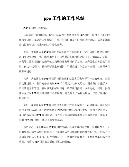 ppp工作的工作总结
