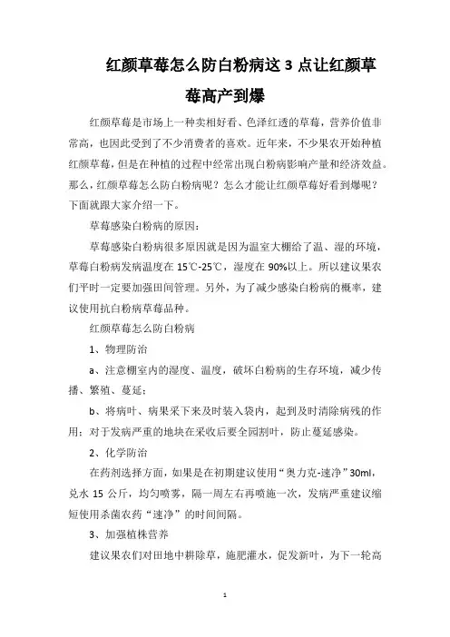 红颜草莓怎么防白粉病这3点让红颜草莓高产到爆