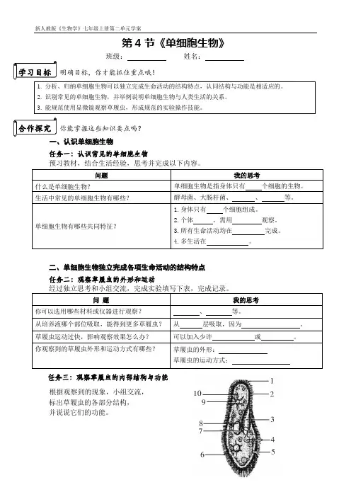《单细胞生物》学案