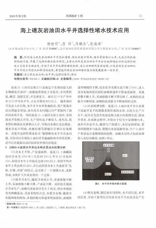 海上礁灰岩油田水平井选择性堵水技术应用