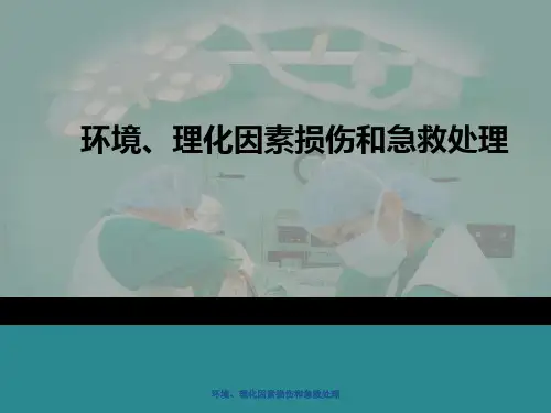 环境、理化因素损伤与急救处理