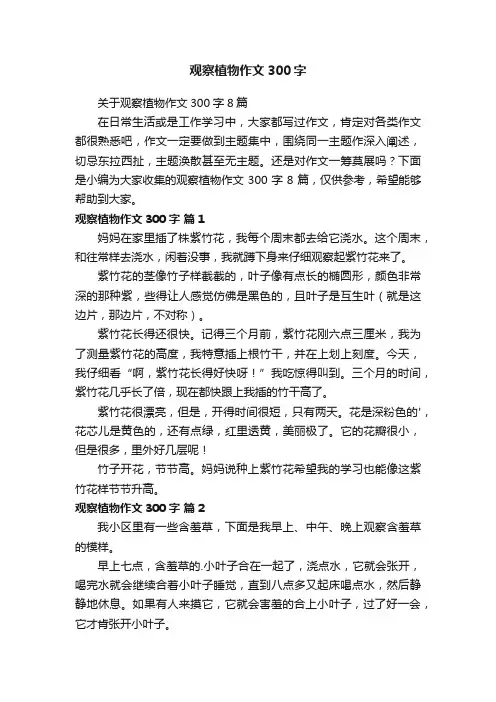 观察植物作文300字