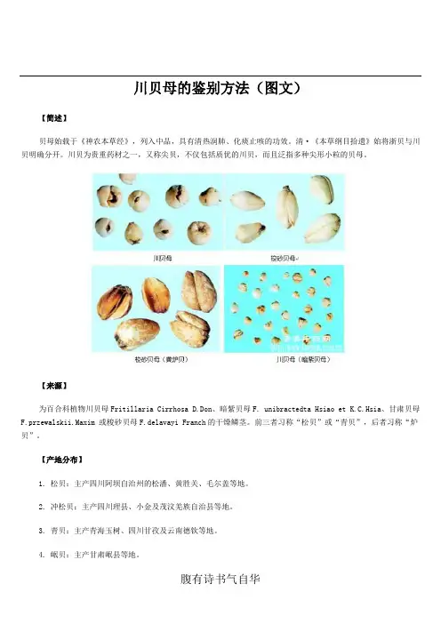川贝母的鉴别方法(图文)