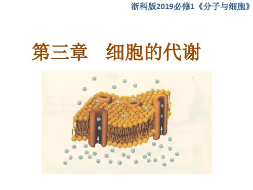 浙科版(2019)必修一  3-5 光合作用将光能转化为化学能- 课件(70张)