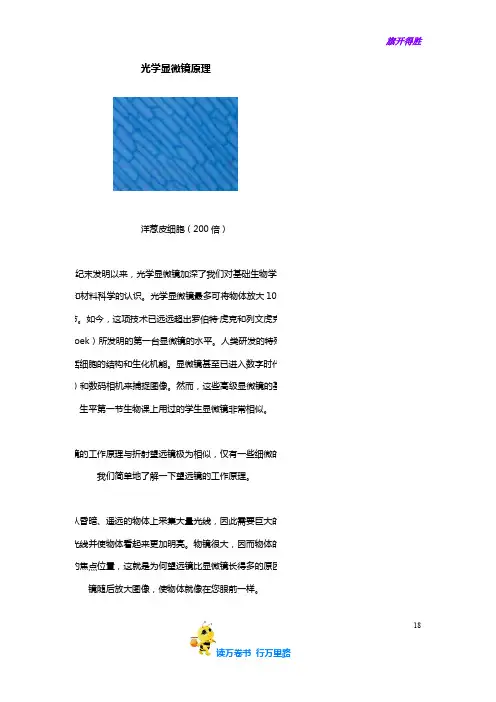 【蔡司显微镜知识】光学显微镜的原理