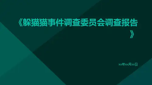 躲猫猫事件调查委员会调查报告