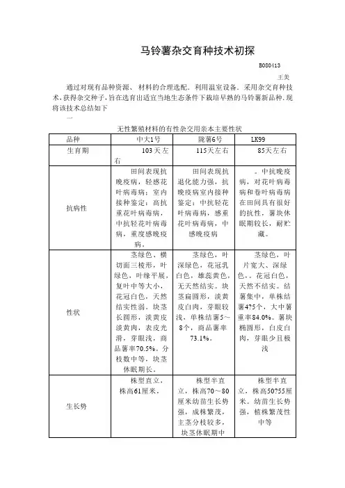 马铃薯杂交育种