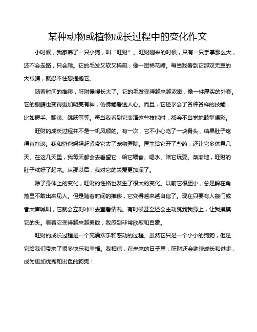 某种动物或植物成长过程中的变化作文