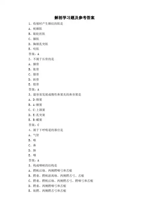 解剖学习题及参考答案